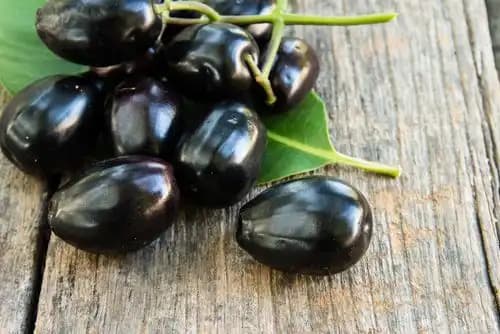 Jamun Honey