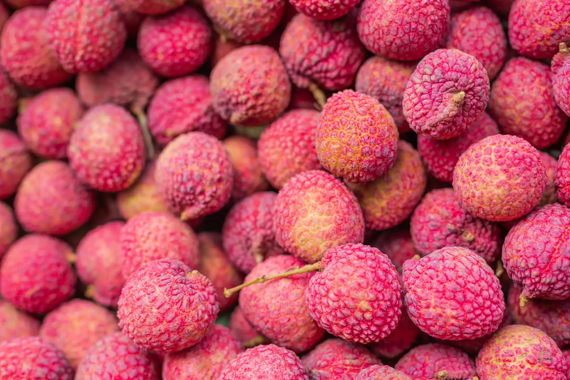 Litchi Honey